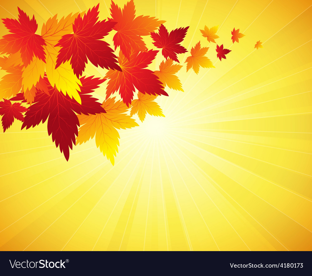 Autumn leaves background Royalty Free Vector Image