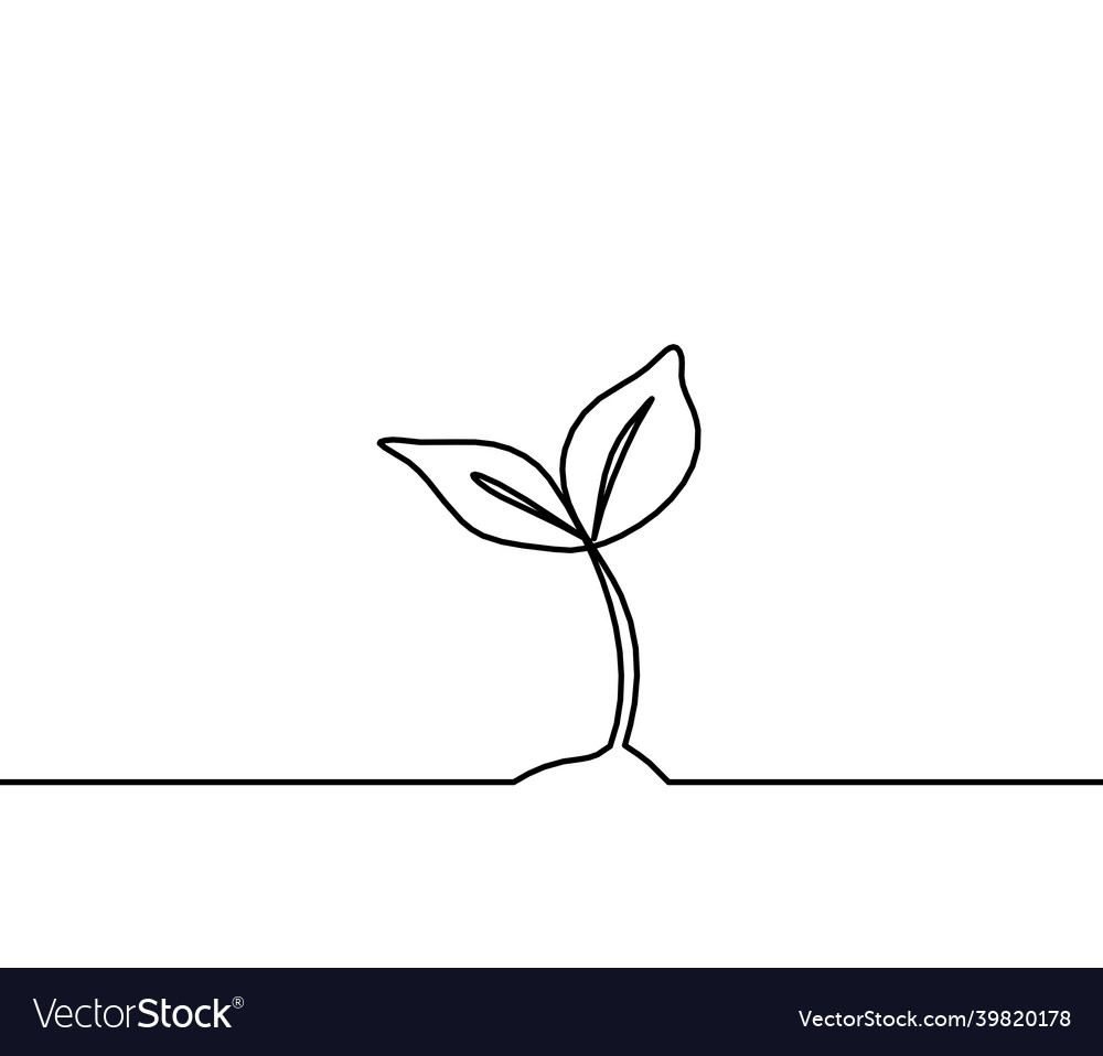 Abstract sprout as line drawing on the white Vector Image