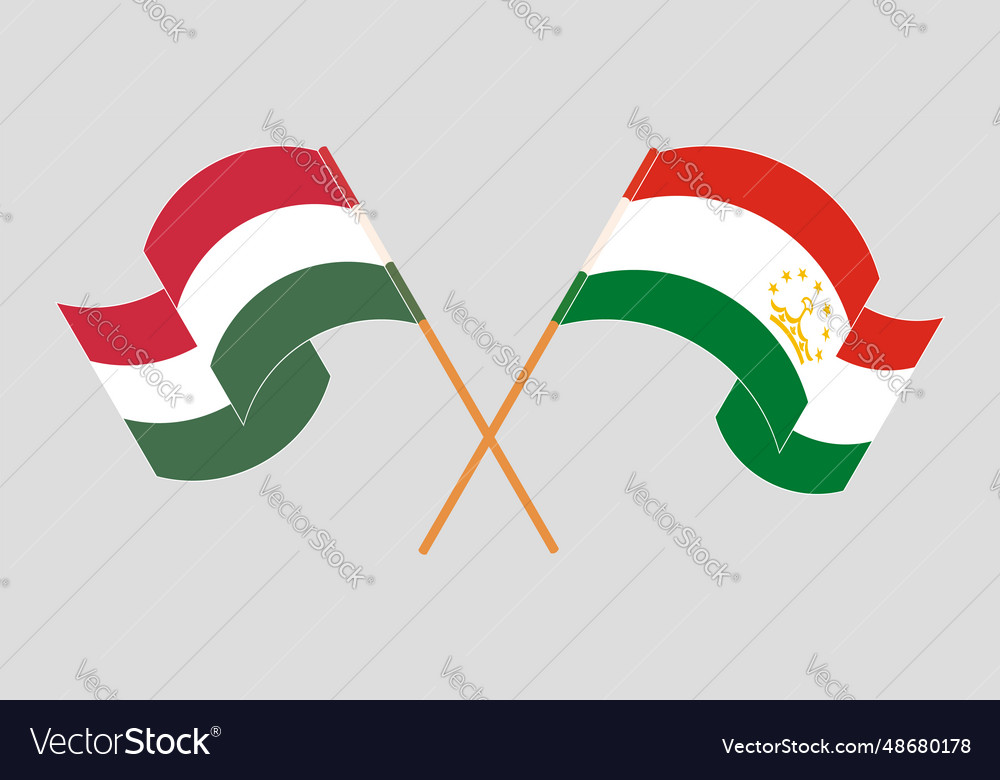 Crossed and waving flags of hungary tajikistan Vector Image