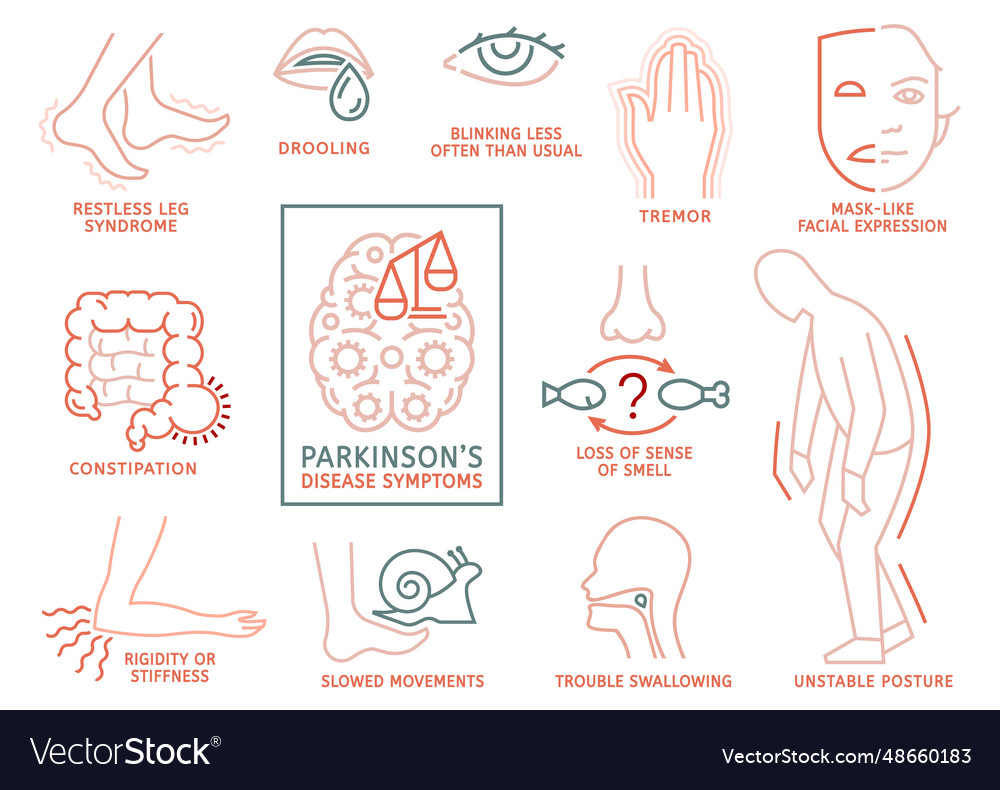 Parkinsons Disease Symptoms Medical Infographic Vector Image 4202