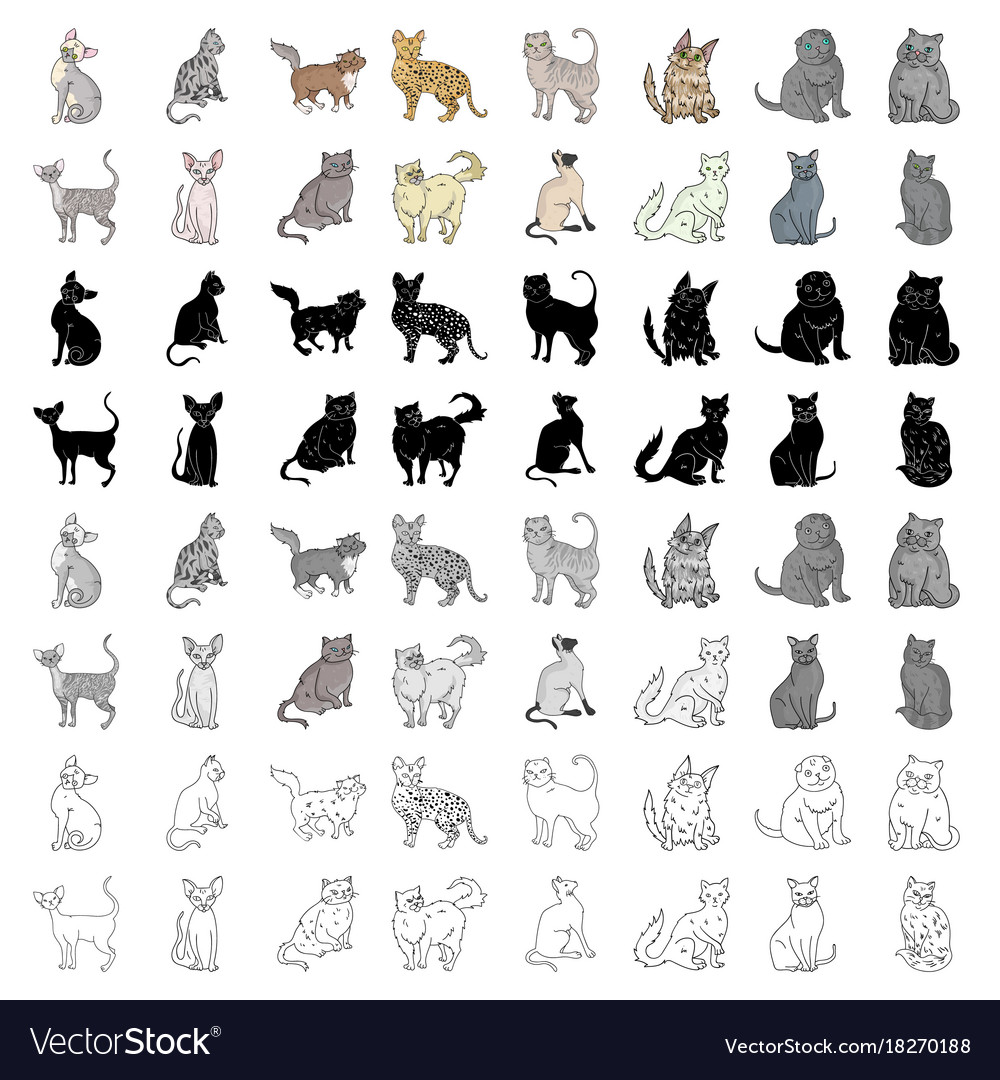 Cat breeds set icons in cartoon style big Vector Image