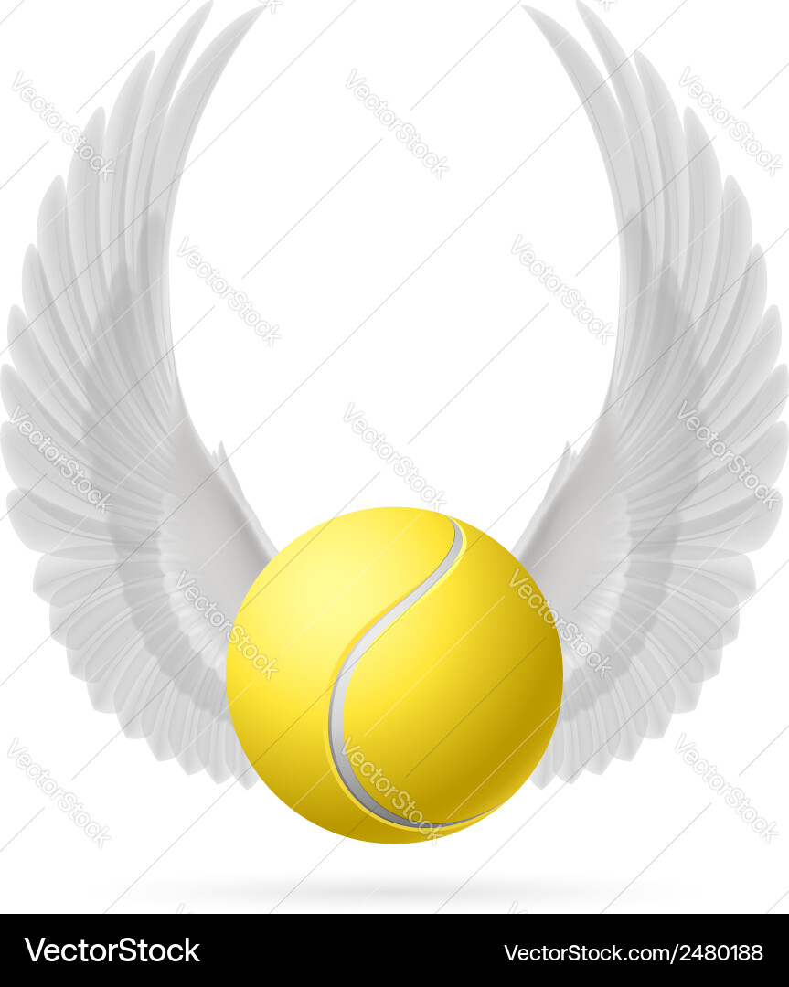 Flying ball Royalty Free Vector Image - VectorStock