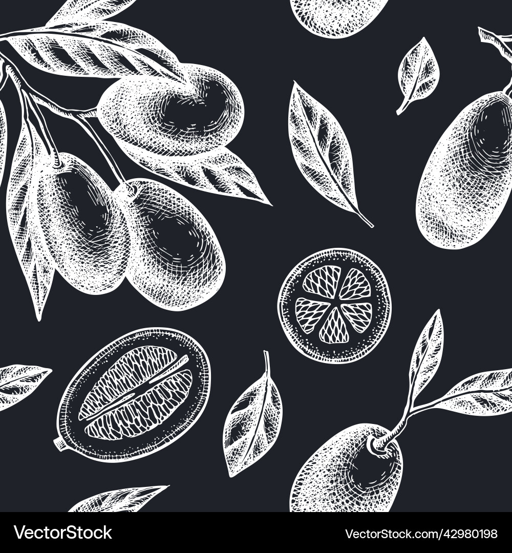Citrus seamless pattern background design Vector Image