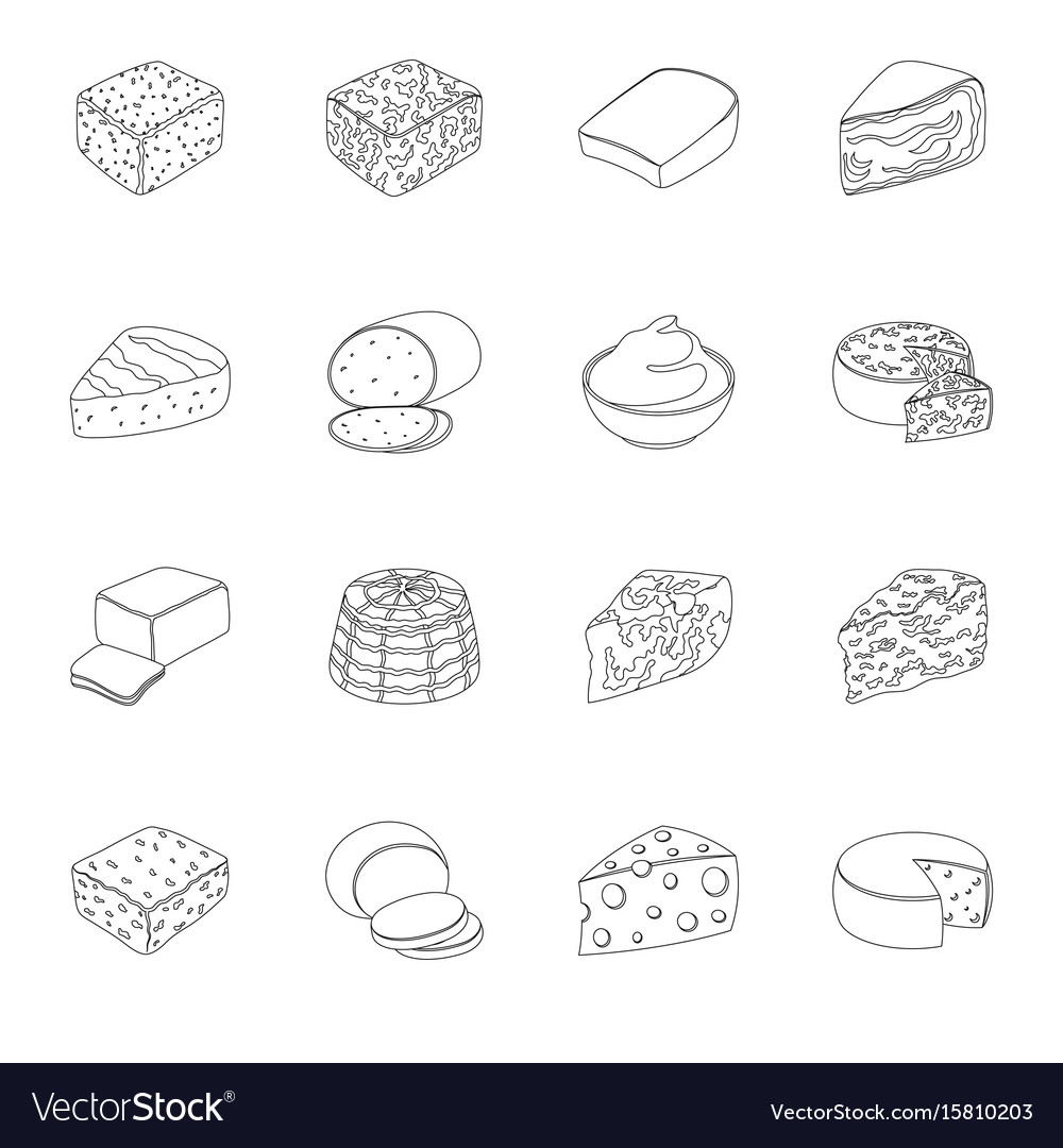 Different types of cheese types Royalty Free Vector Image