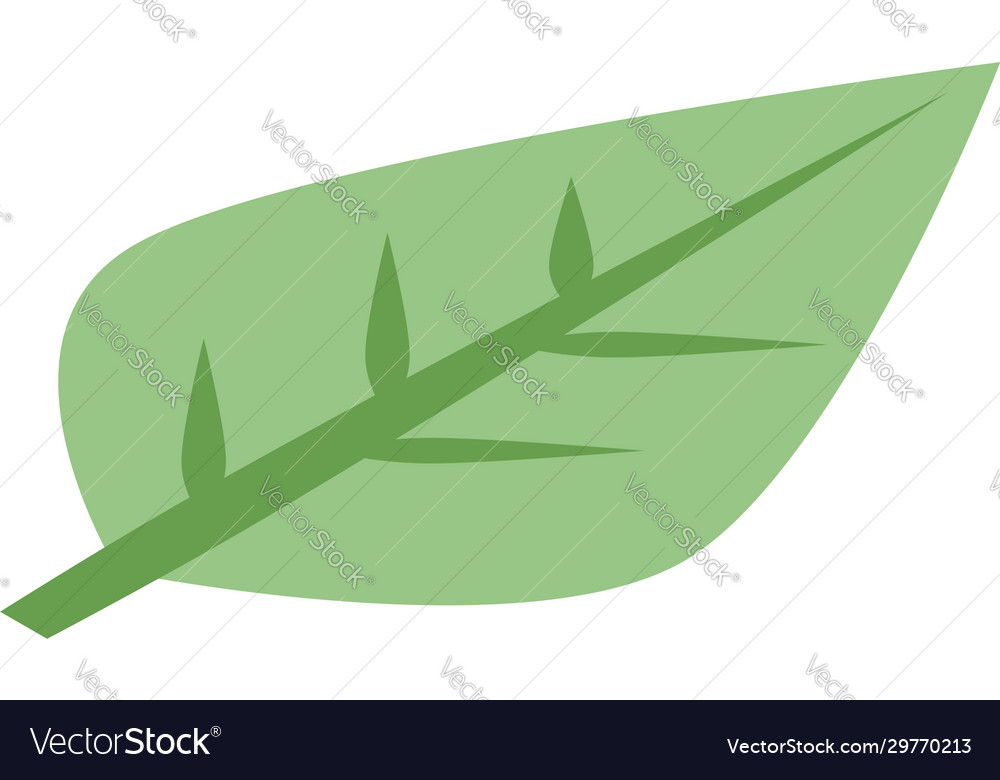 Persimmon leaf icon isometric style Royalty Free Vector