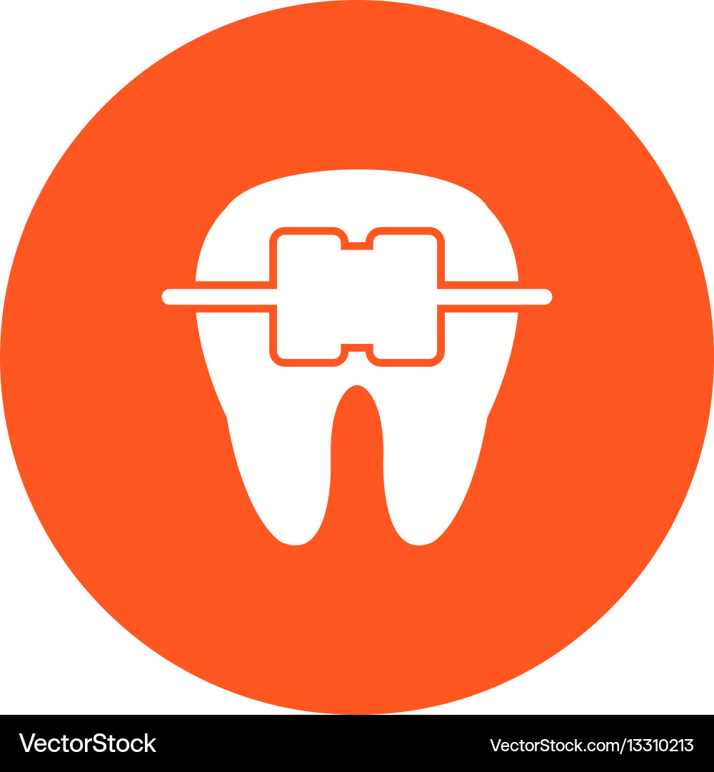 Tooth with braces Royalty Free Vector Image - VectorStock