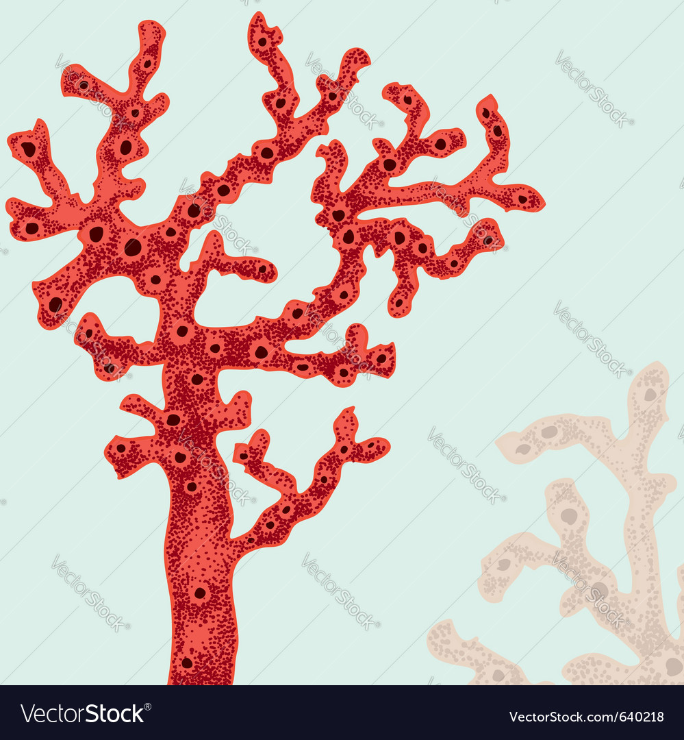 Coral Poster Royalty Free Vector Image - Vectorstock