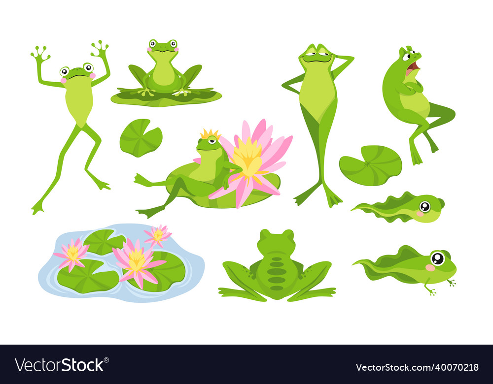 Set funny frogs cartoon characters isolated Vector Image