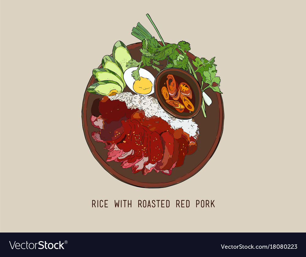 Thai red bbq pork with rice foodhand draw Vector Image