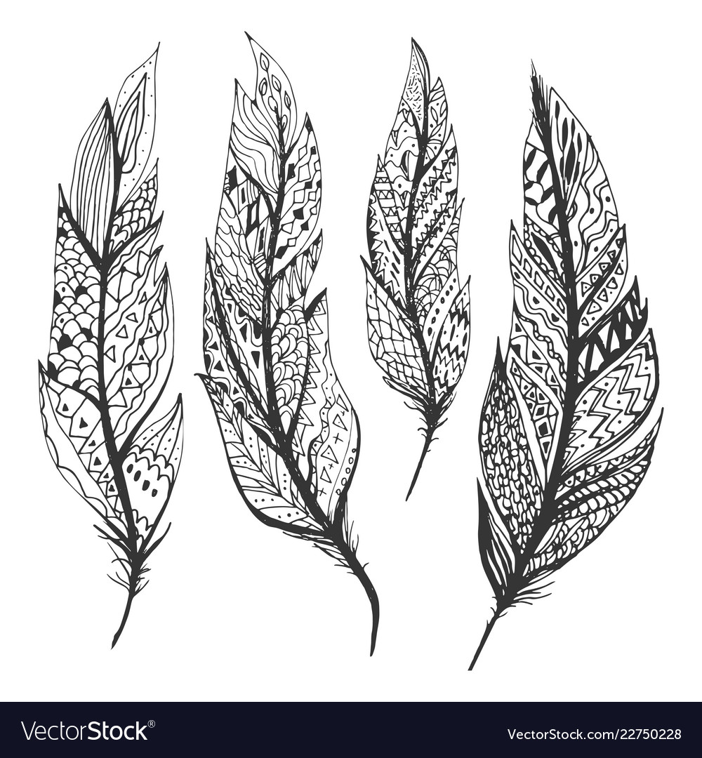 Hand drawn feathers set on white background Vector Image