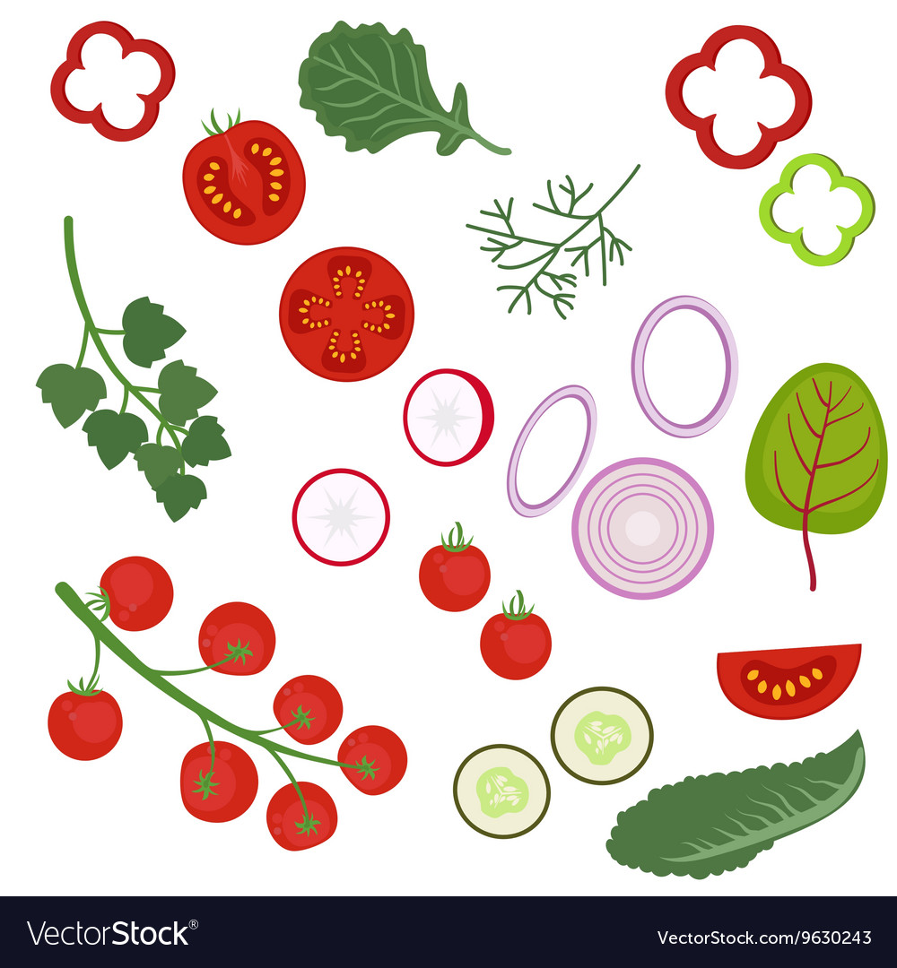 Ingredients To The Salad Royalty Free Vector Image