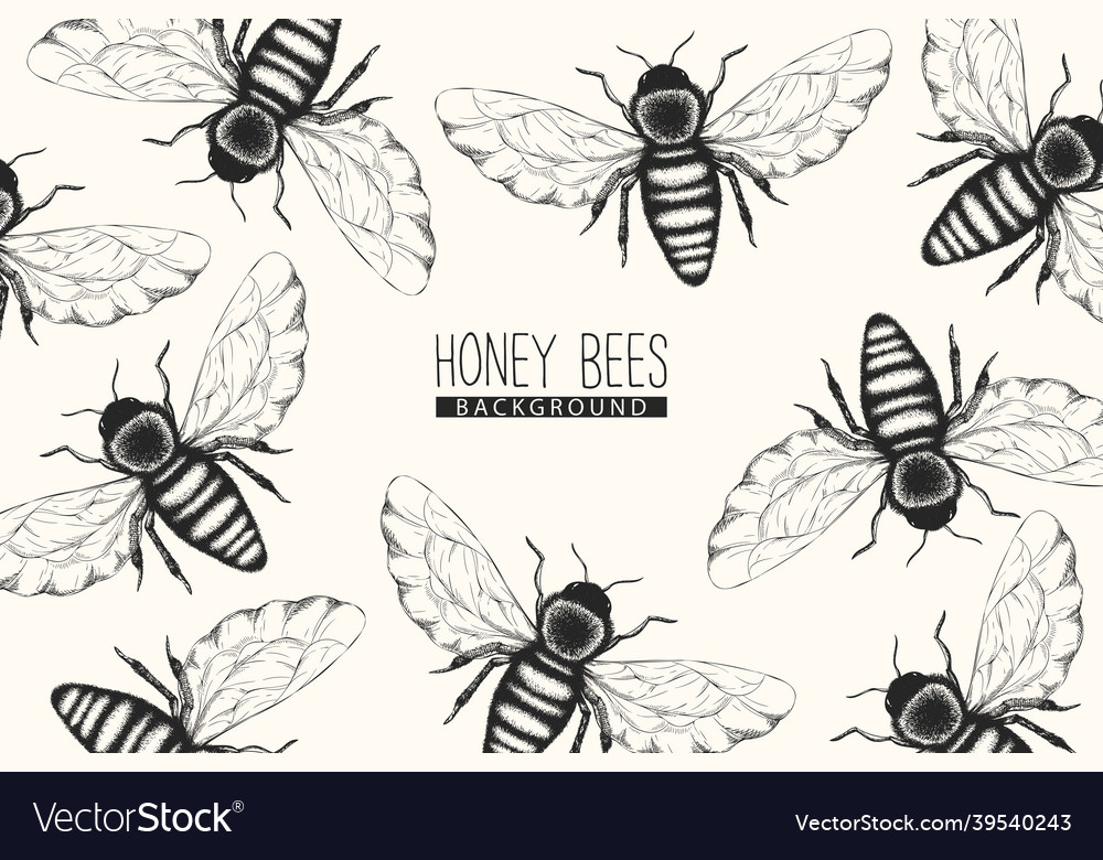 Monochrome background with honey bees