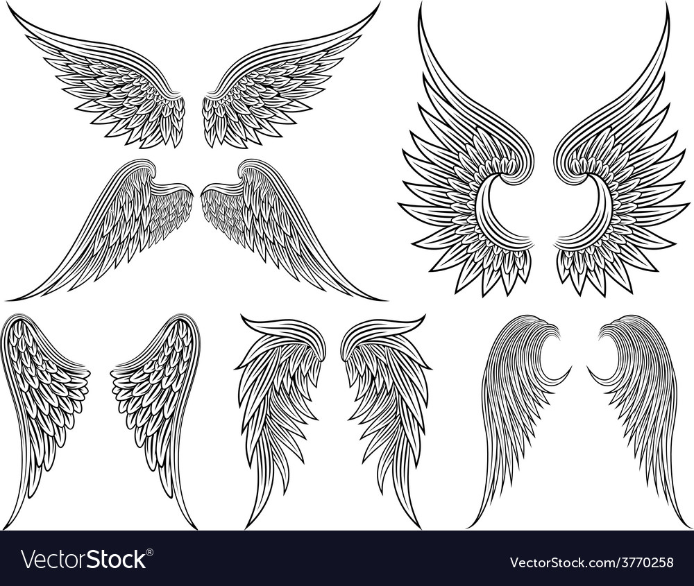 Heraldic wings or angel Royalty Free Vector Image