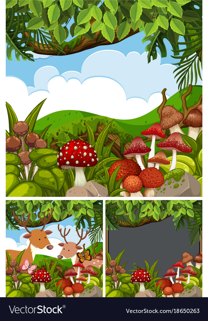 Three forest scenes with deers and mushrooms Vector Image