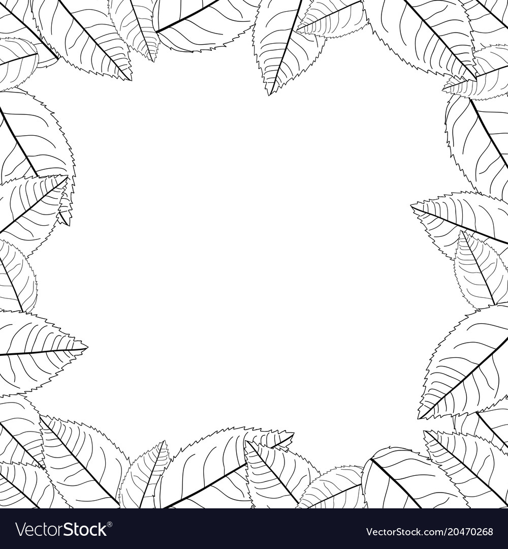 Camellia leaves outline frame border Royalty Free Vector