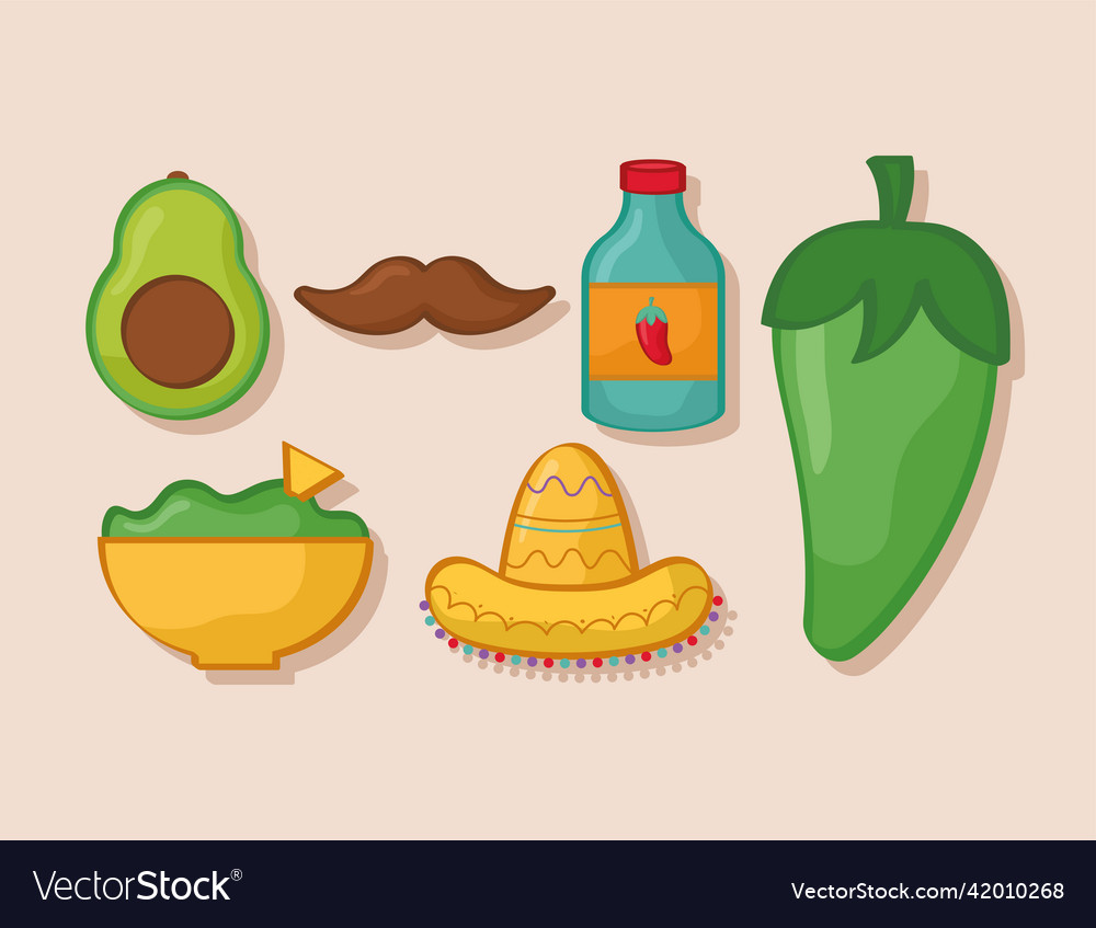 Cinco de mayo items Royalty Free Vector Image - VectorStock