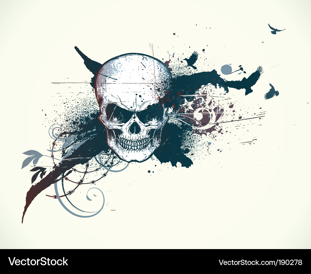 Human skull Royalty Free Vector Image - VectorStock