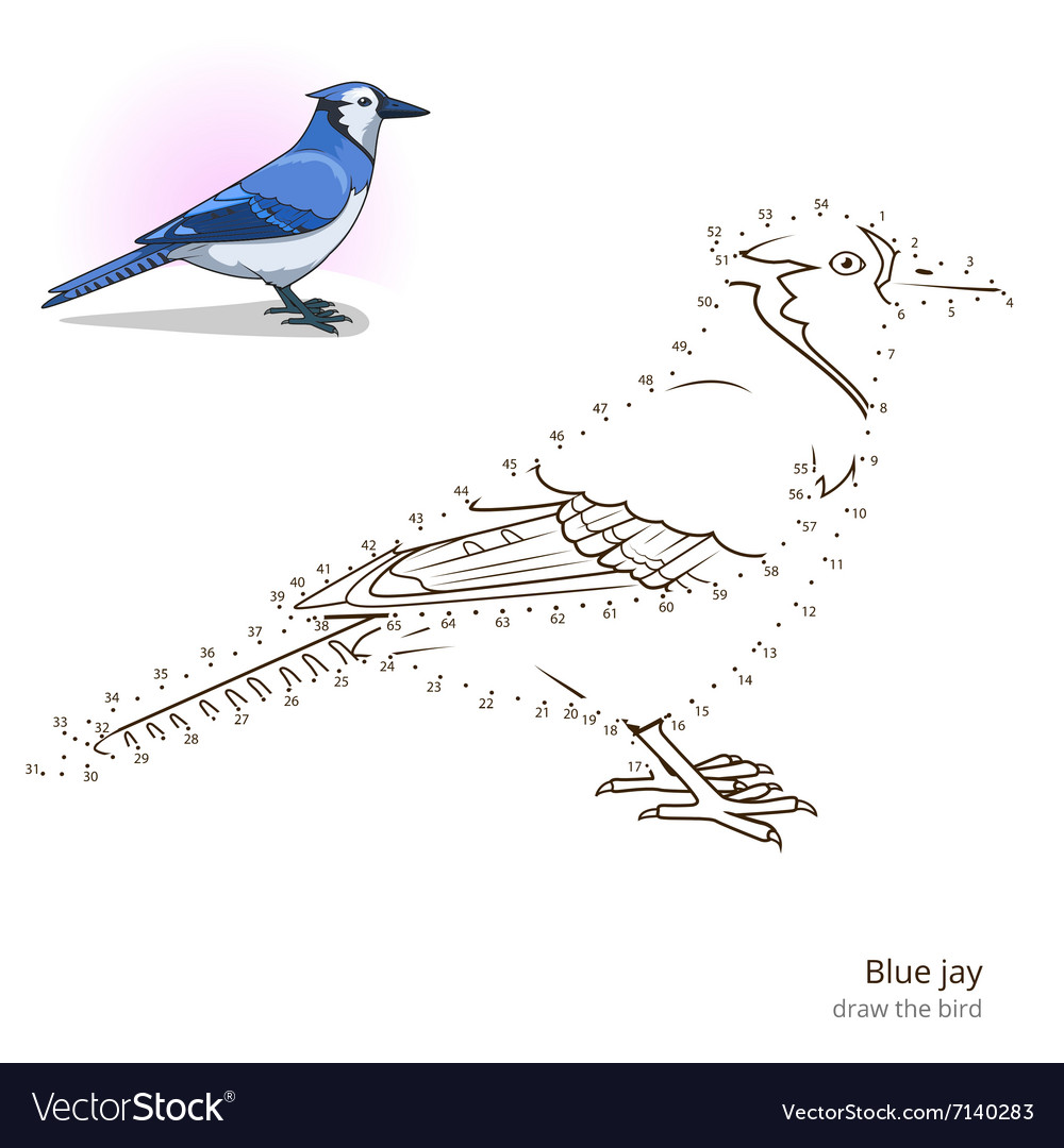 Premium Vector  Hand drawn solid color blue jay bird illustration