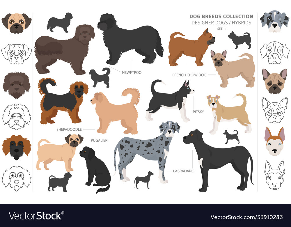 Dog setting