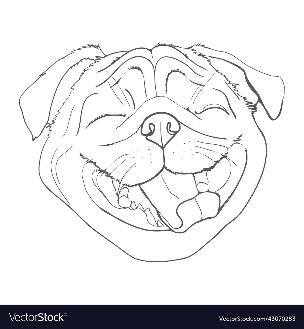 Dog hand drawing pattern french bulldog cartoon Vector Image Dog hand drawing pattern french bulldog cartoon Vector Image