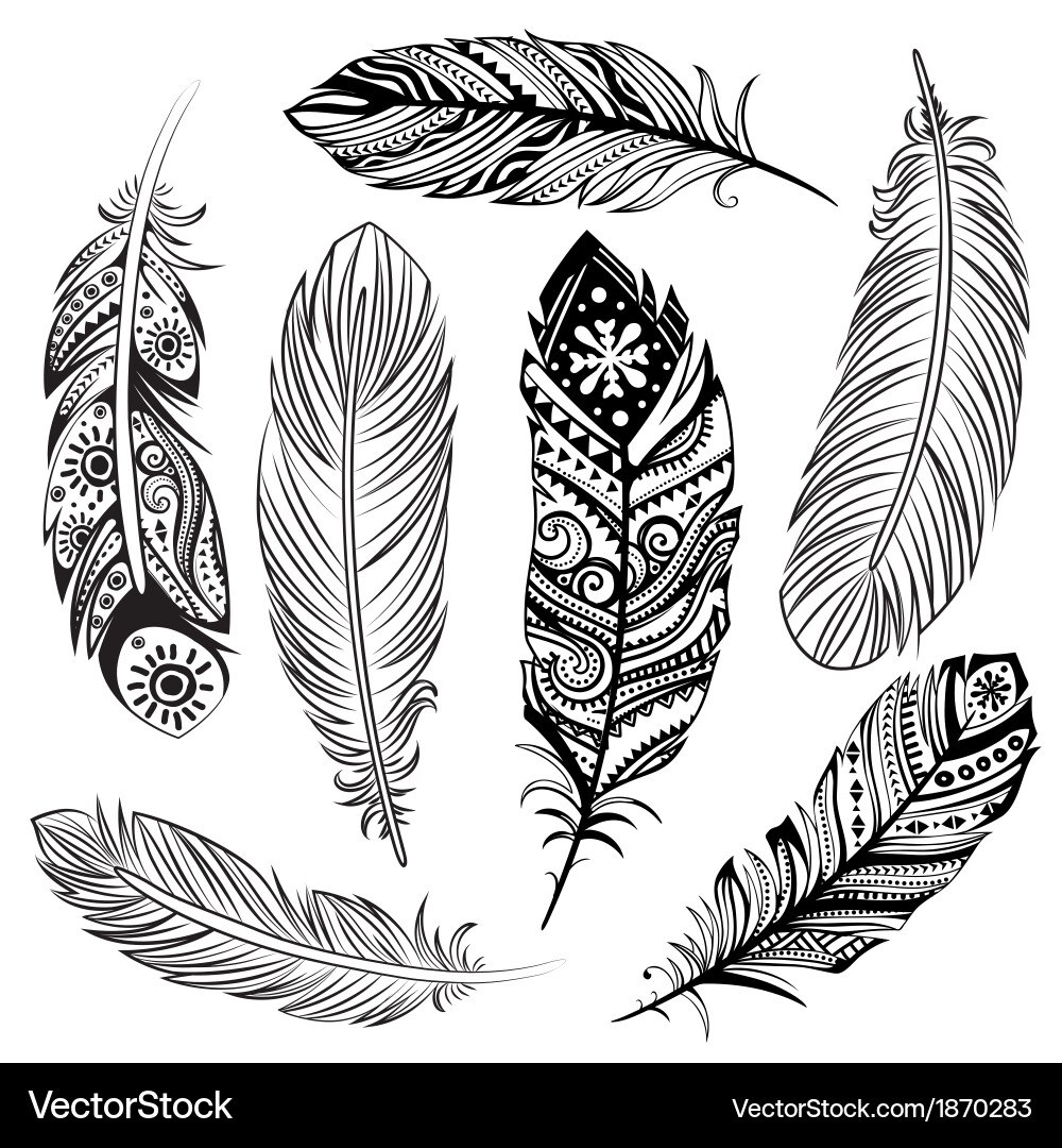 Set ethnic feathers Royalty Free Vector Image - VectorStock