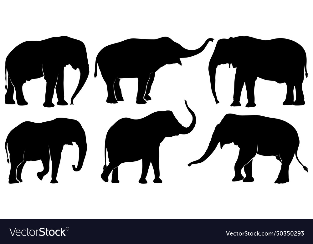 Animal elephant silhouettes Royalty Free Vector Image