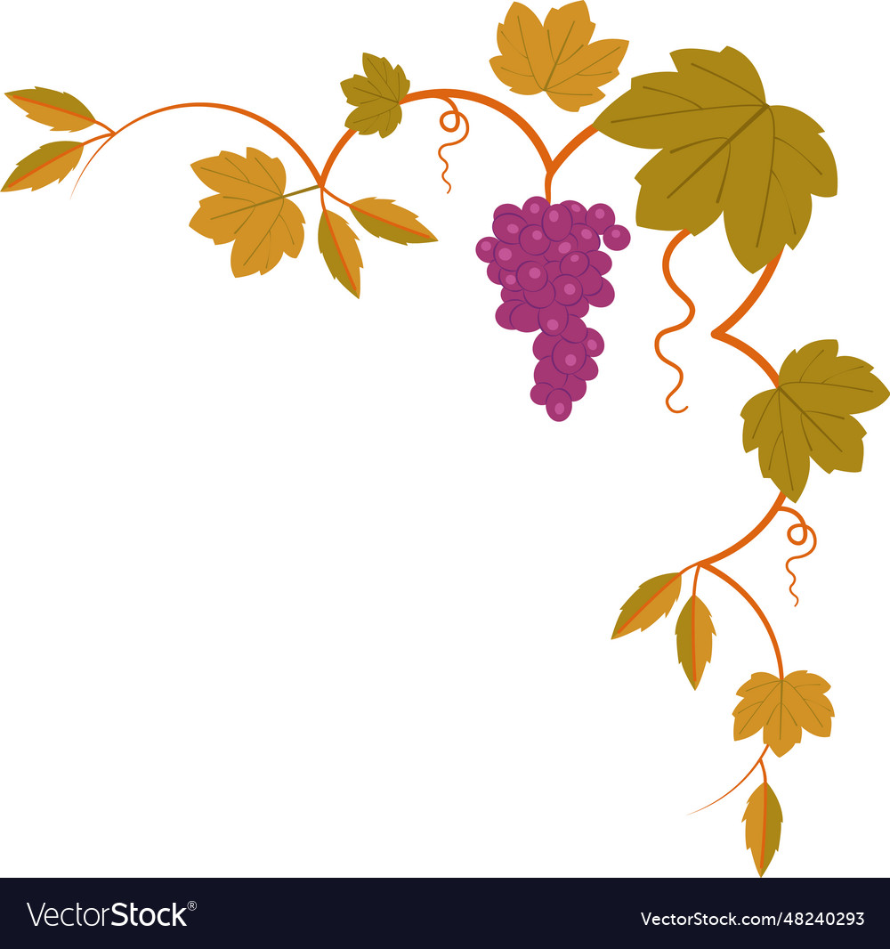 Calligraphy grapes corner frame Royalty Free Vector Image