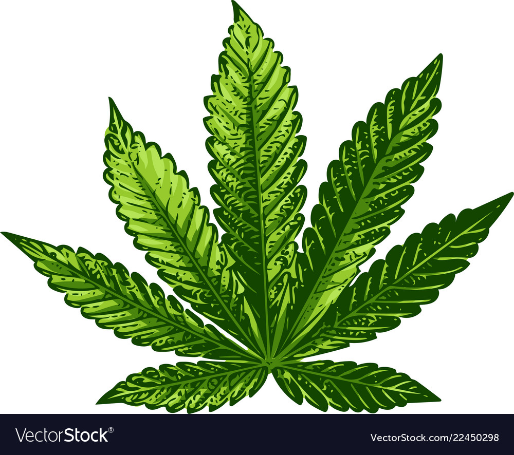 Cannabis sign dark green Royalty Free Vector Image