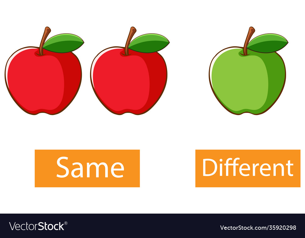 Same And Different Core Words