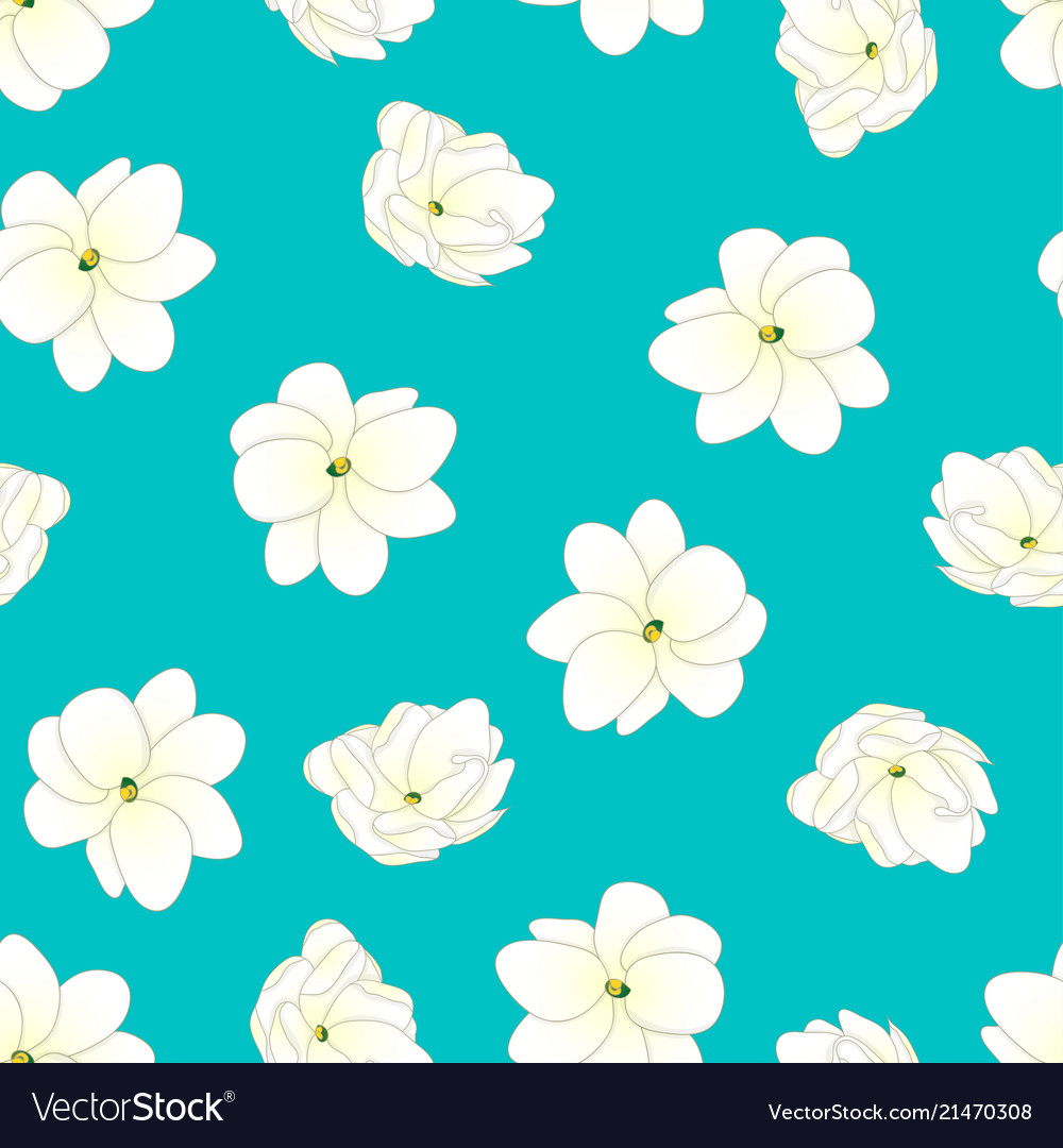 Arabian jasmine on blue teal background Royalty Free Vector