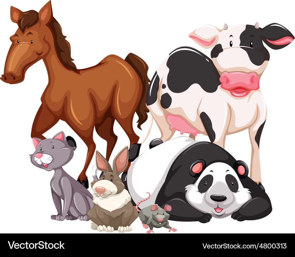 Animals Royalty Free Vector Image - VectorStock
