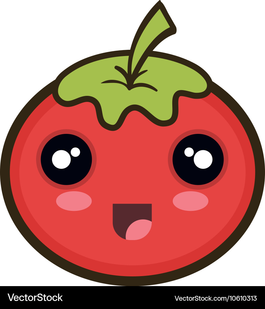 Red tomato vegetable Royalty Free Vector Image