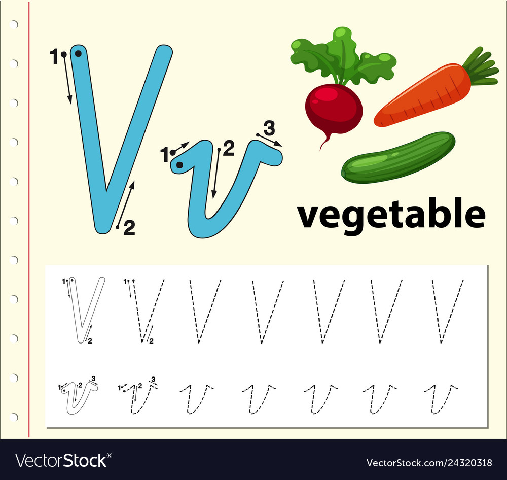 letter v tracing alphabet worksheets royalty free vector