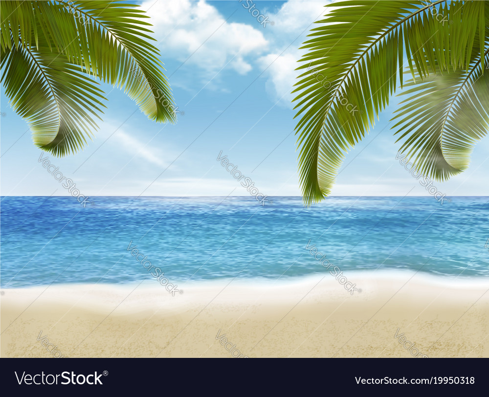 Palm leaves on beach Royalty Free Vector Image