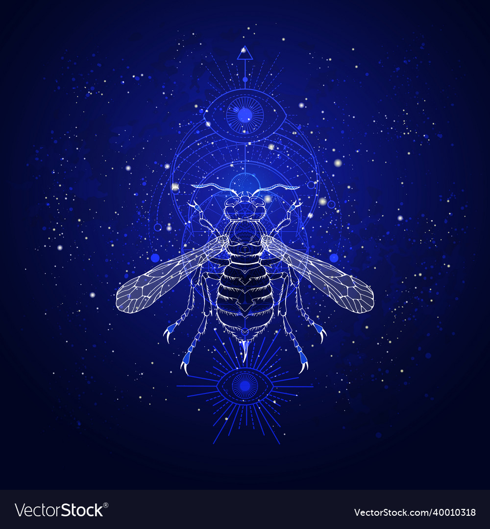 St0454 Royalty Free Vector Image - VectorStock