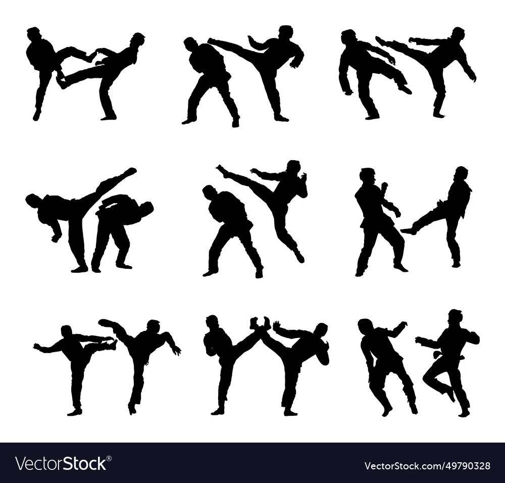 Fight between taekwondo fighters silhouette Vector Image