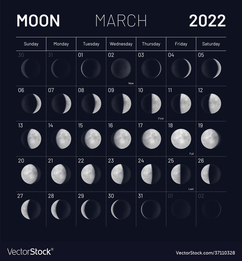 Moon Phase For March 2024 Kassey