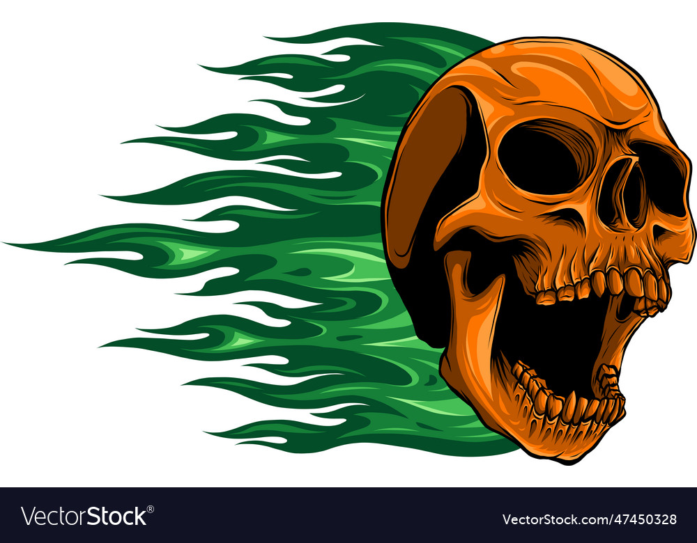 Skull on fire with flames Royalty Free Vector Image