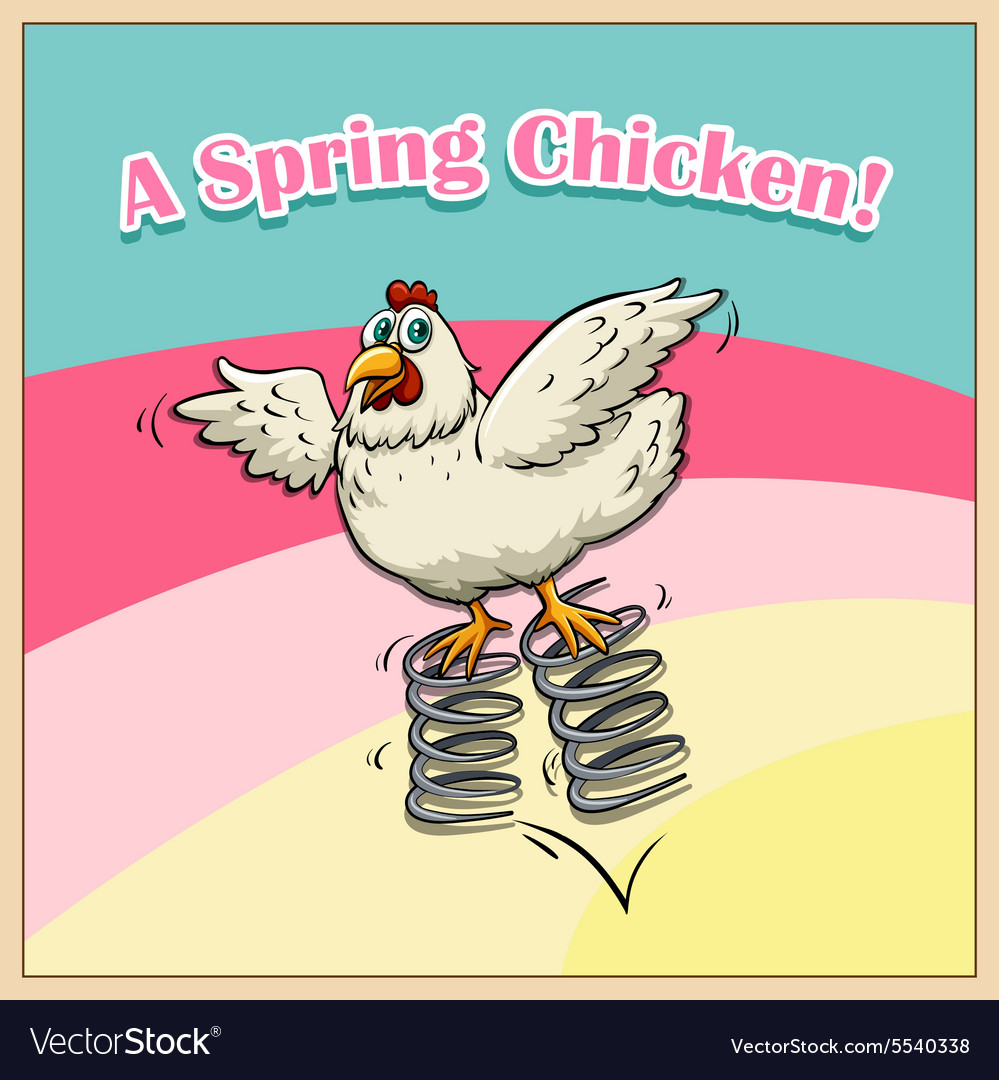 Idiom saying spring chicken Royalty Free Vector Image