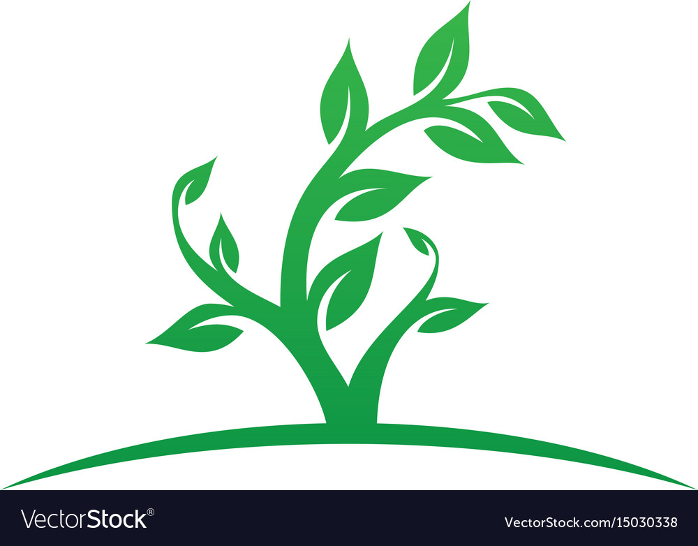 Tree leaf ecology logo image Royalty Free Vector Image