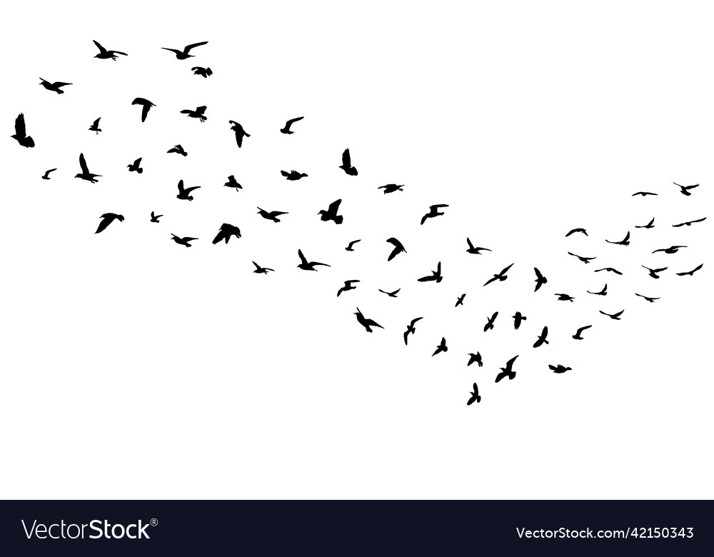 Silhouettes of flock flying birds migration Vector Image