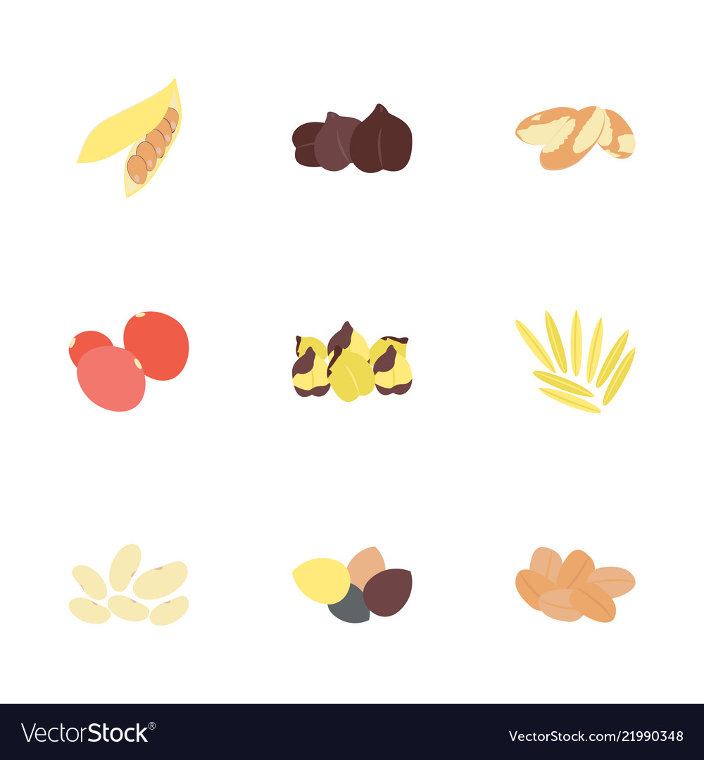 Dried fruits flat icons set Royalty Free Vector Image