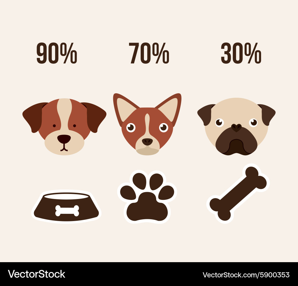 Pet Concept Royalty Free Vector Image Vectorstock