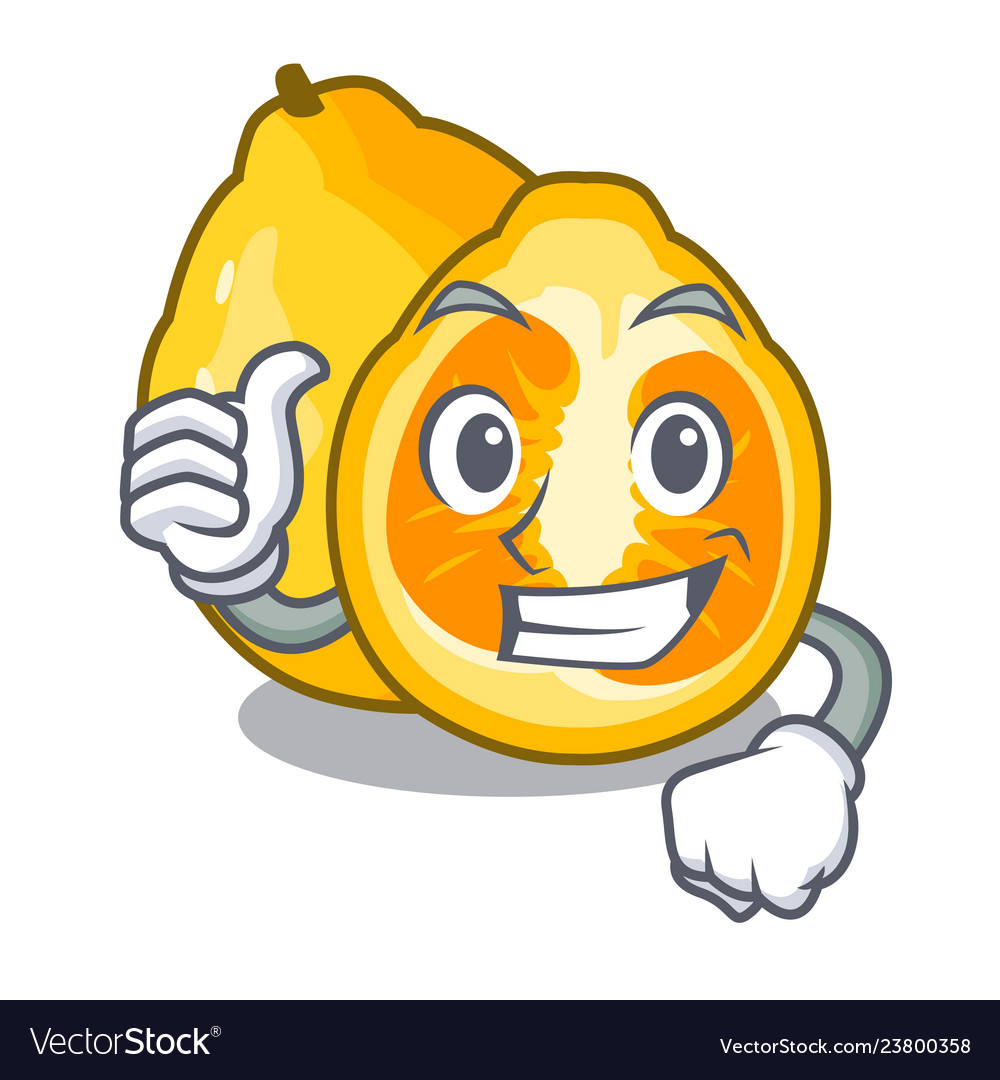 Thumbs up ugli in the mascot fruit basket Vector Image