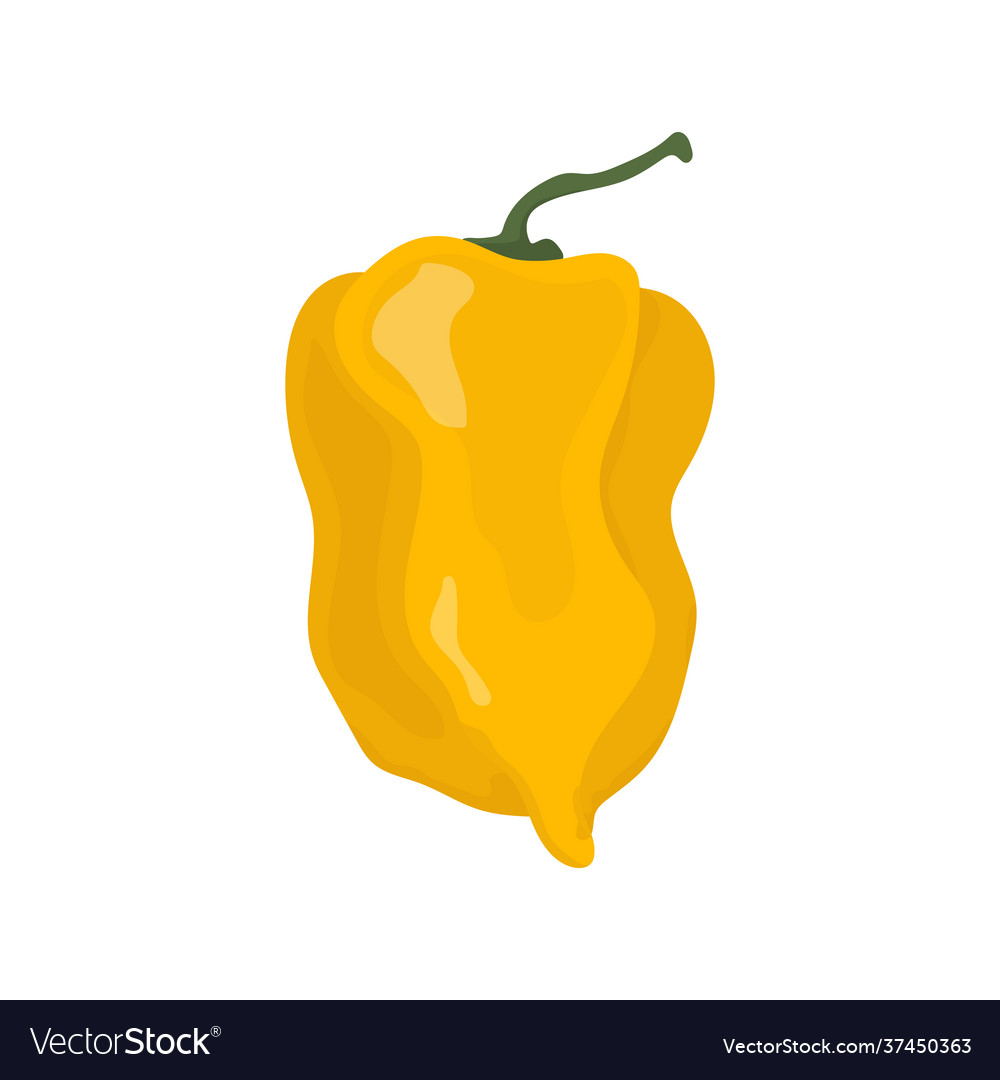 Hot peppers habanero Royalty Free Vector Image