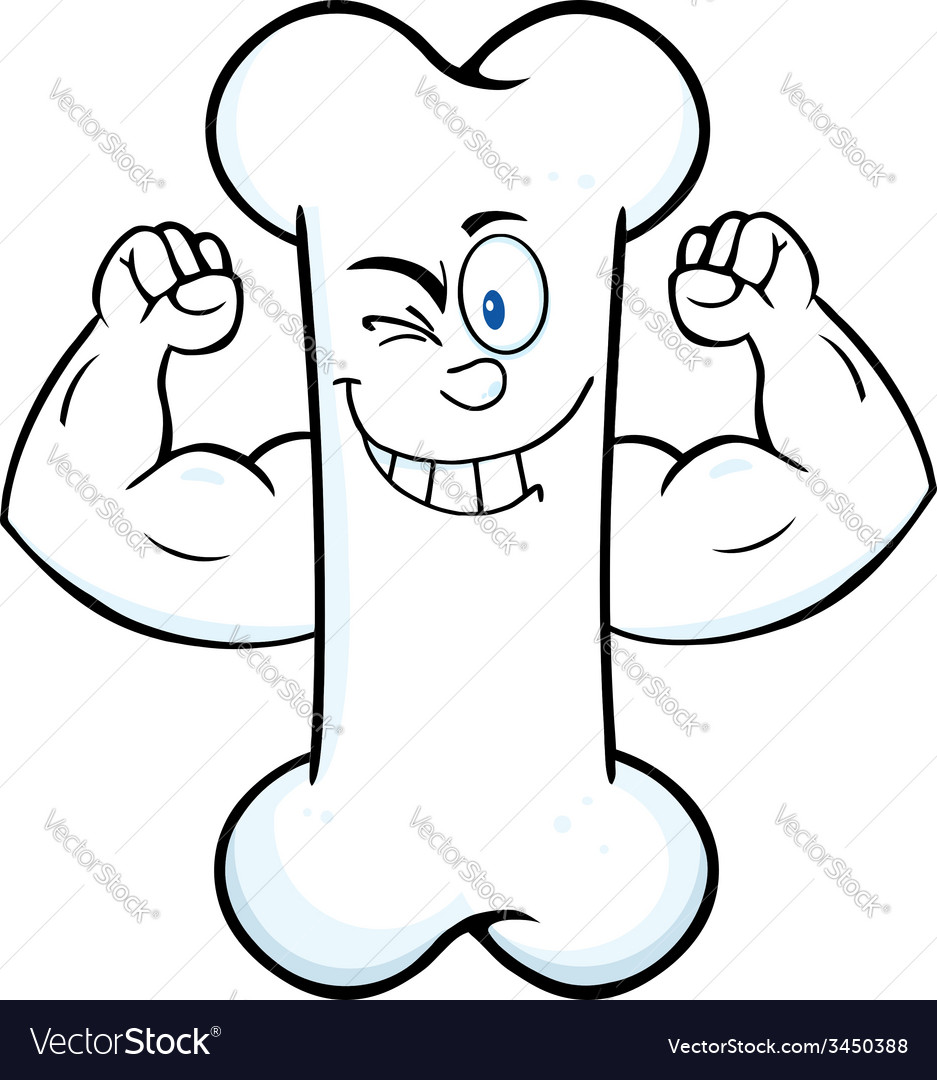 Cartoon bone design Royalty Free Vector Image - VectorStock