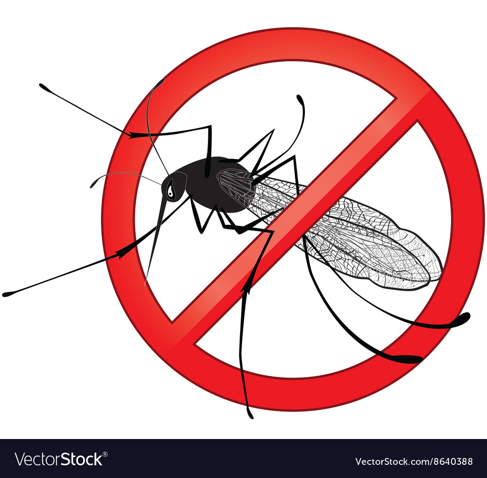 No mosquito gnat insect sign Royalty Free Vector Image