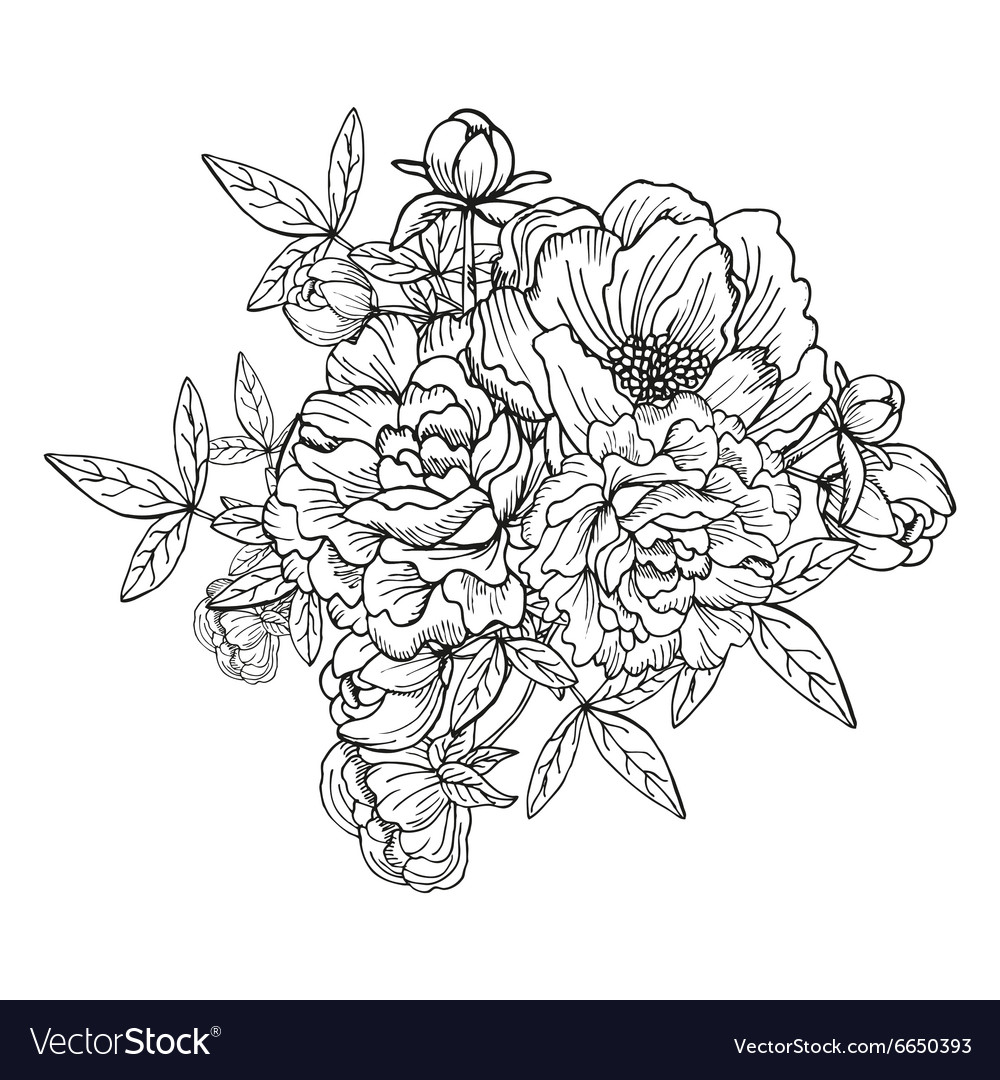 Peony floral bouquet Royalty Free Vector Image