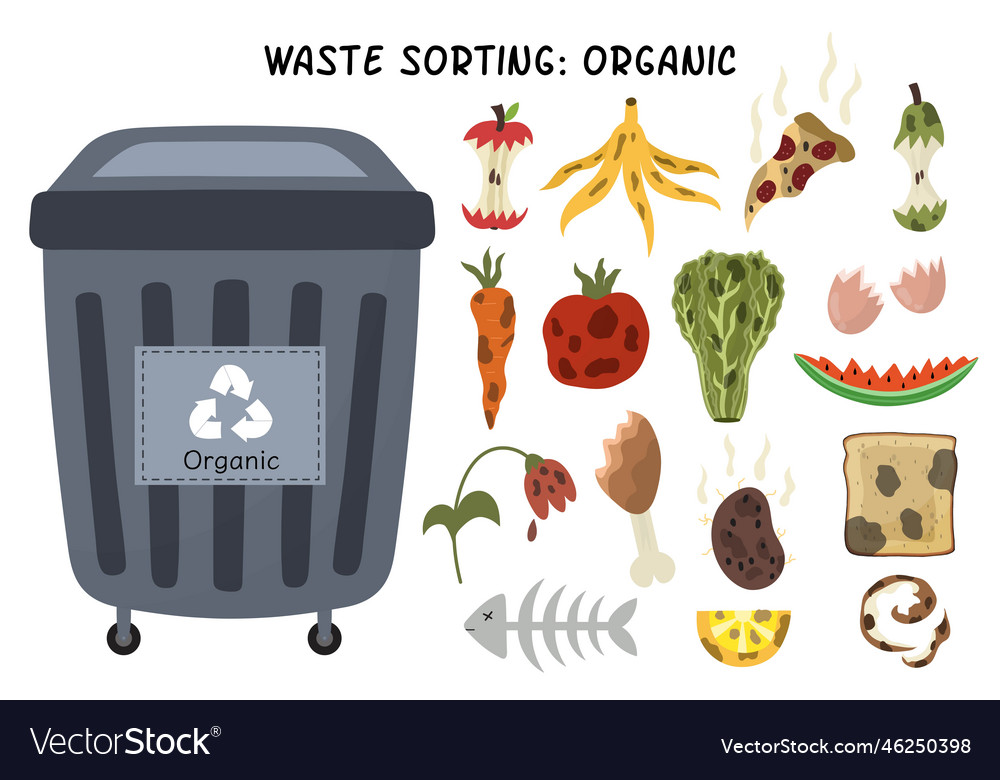 Organic garbage sorting set grey trash can Vector Image