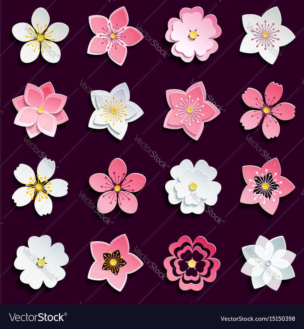 Set of cherry blossom sakura flowers Royalty Free Vector